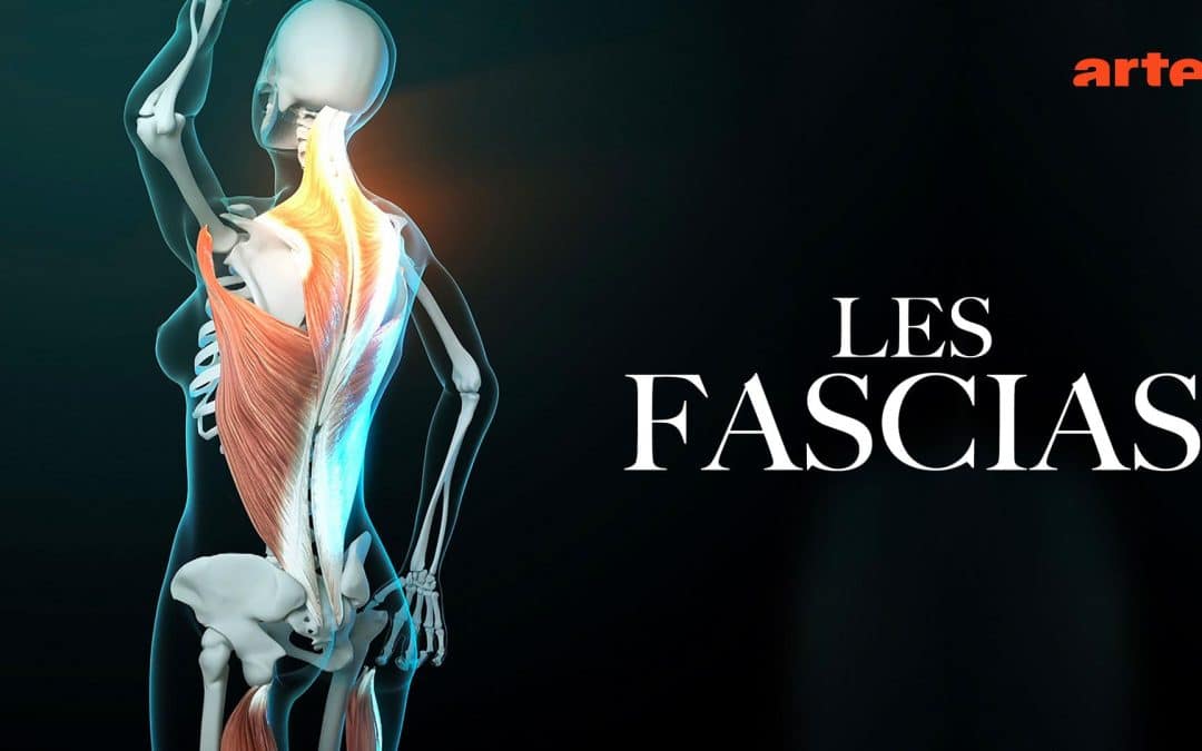 Documentaire fascias diffusé par ARTE