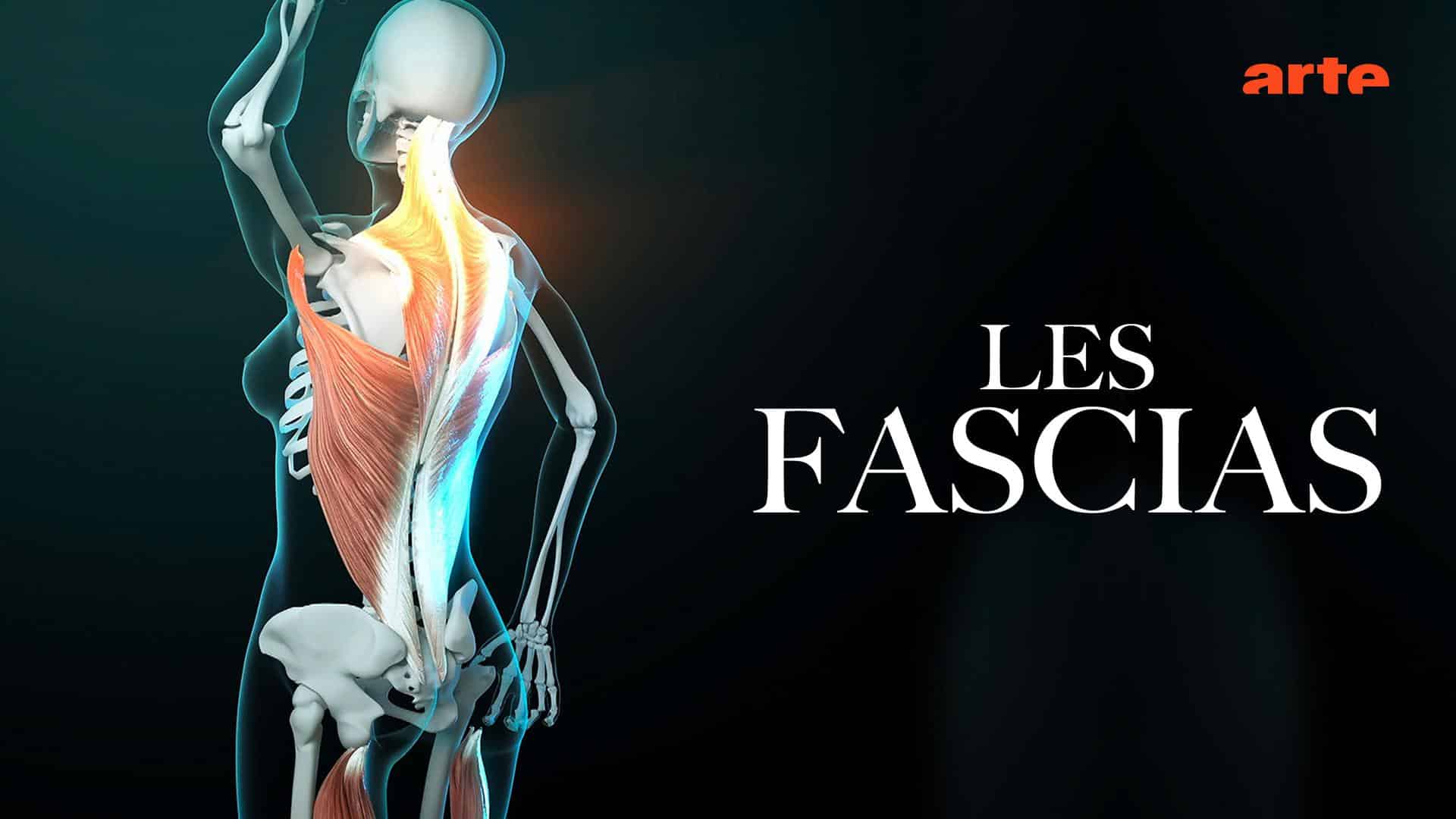 Documentaire fascias diffusé par ARTE